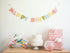 Felt Happy Birthday Banner in pastel rainbow colors. Perfect for a pastel rainbow party. This eco friendly garland is a sustainable choice for your birthday decorations.