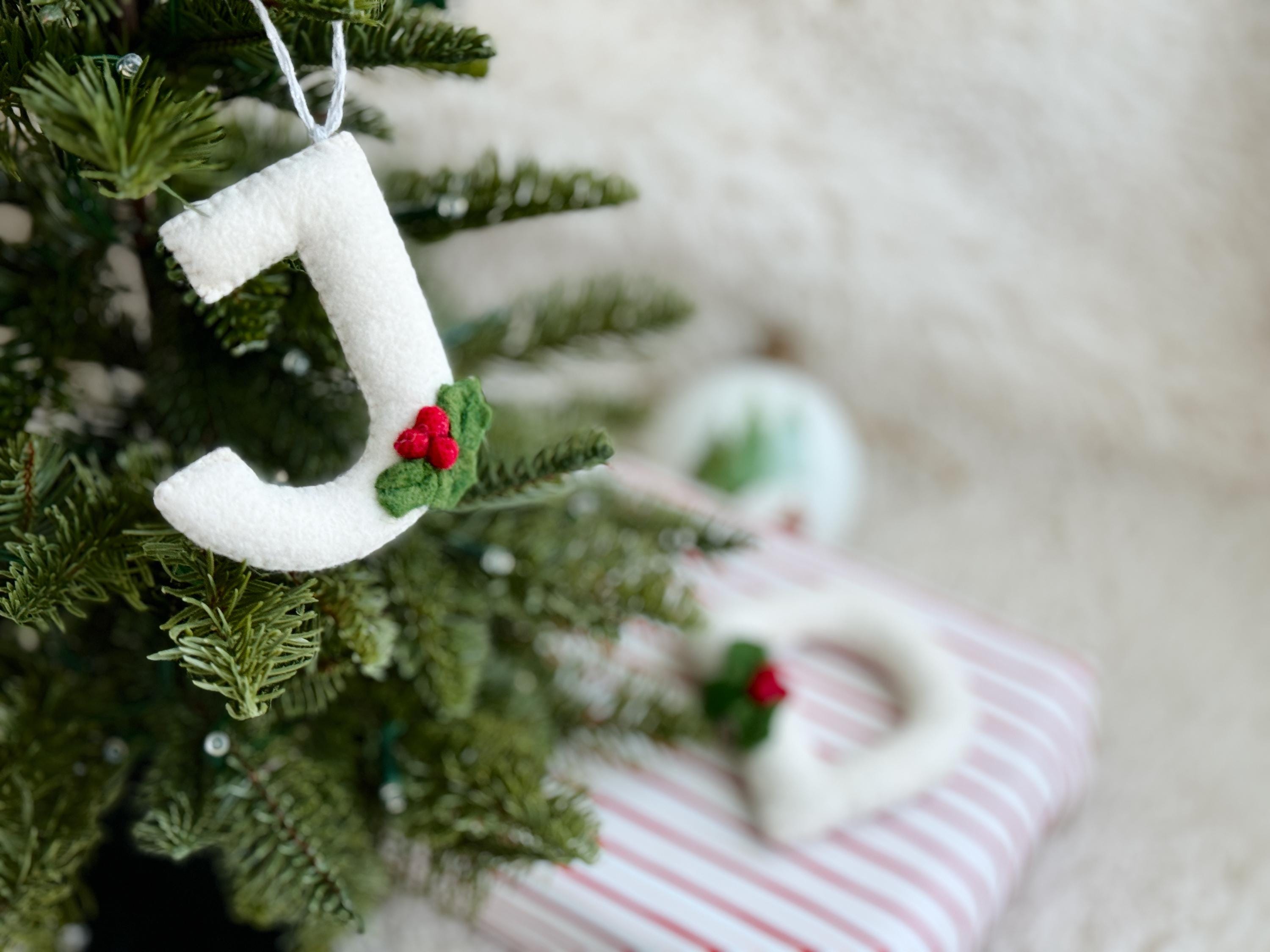 Initial Ornament, Handmade Felt Ornaments, Personalized Stocking Tags, Stocking Stuffers For Teens
