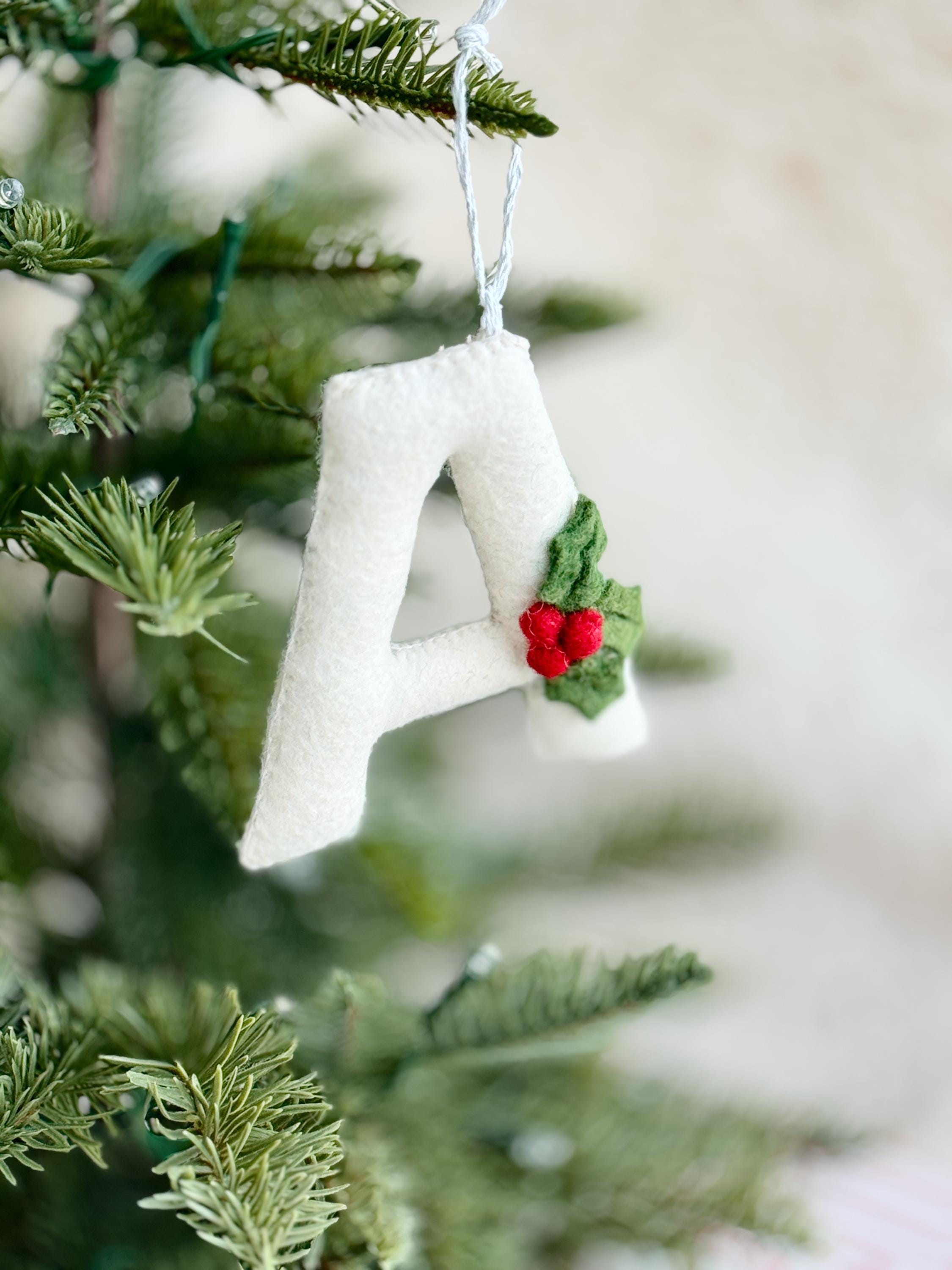 Initial Ornament, Handmade Felt Ornaments, Personalized Stocking Tags, Stocking Stuffers For Teens