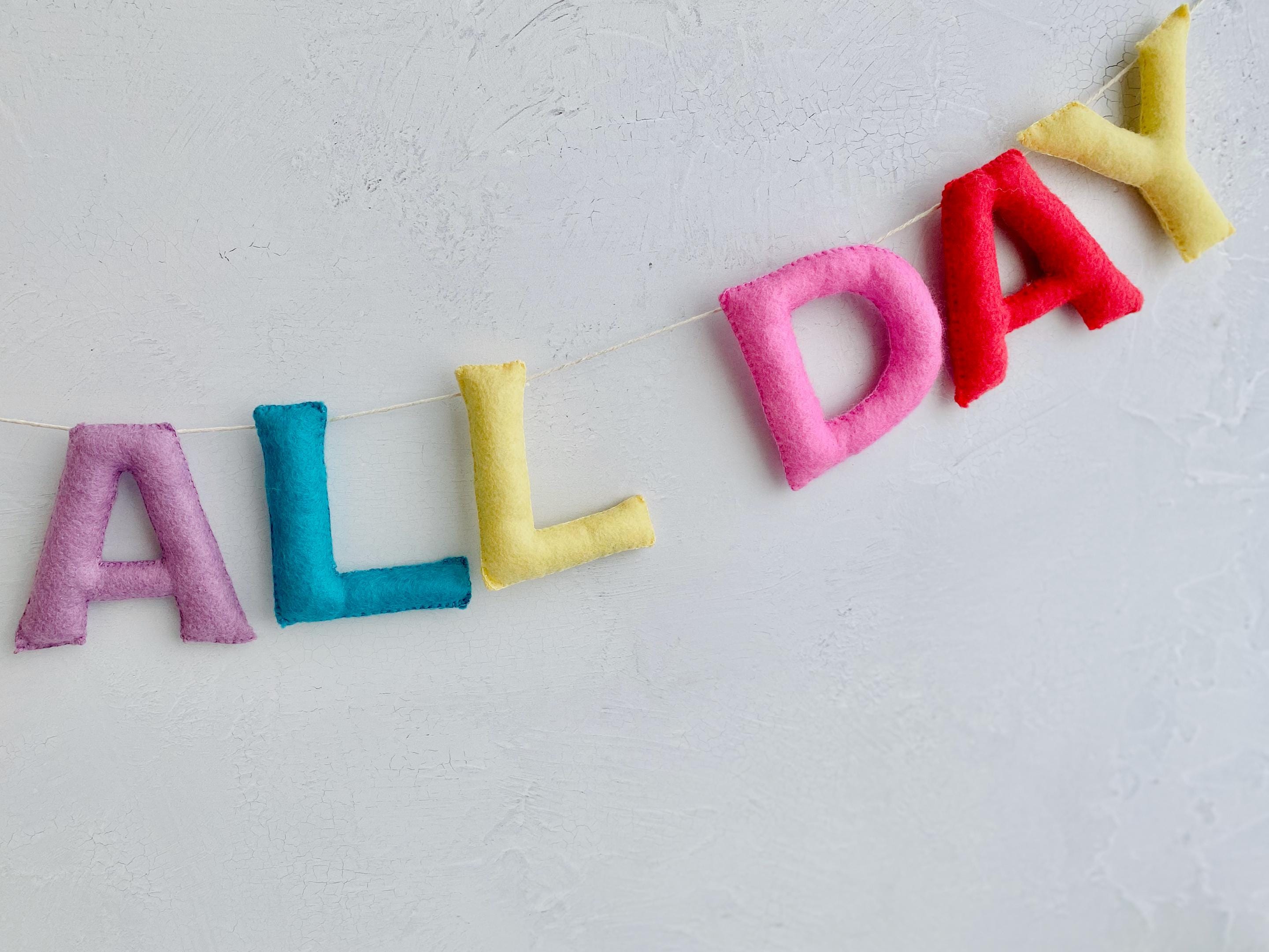 Playroom Sign, Rainbow Felt Garland, Playroom Wall Decor, Play All Day Sign